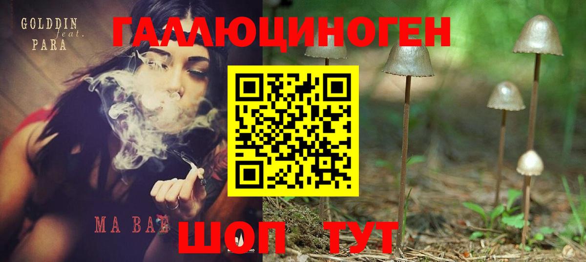 Галлюциногенные грибы мицелий Богородск